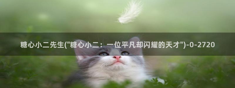 糖心官