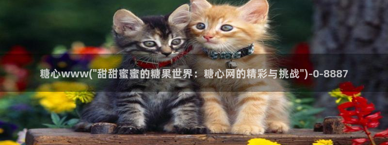 糖心51：糖心www(\