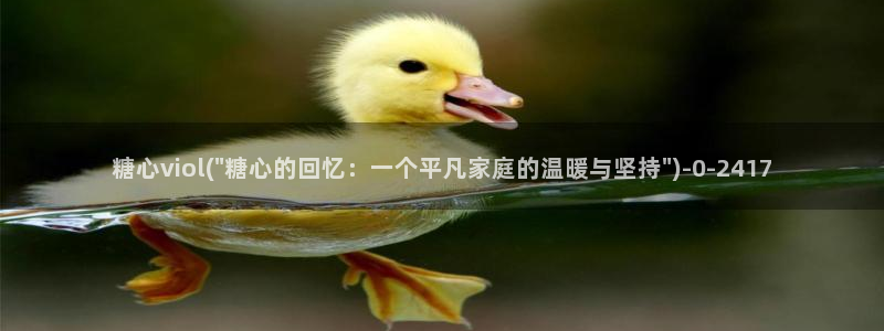 糖心vlgo百度云